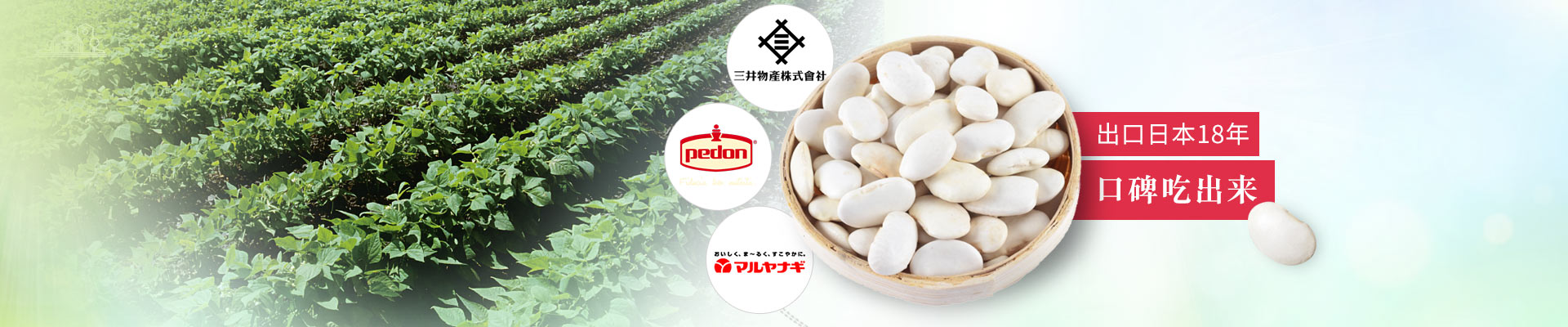 萬力貿(mào)易出口日本18年 · 口碑吃出來