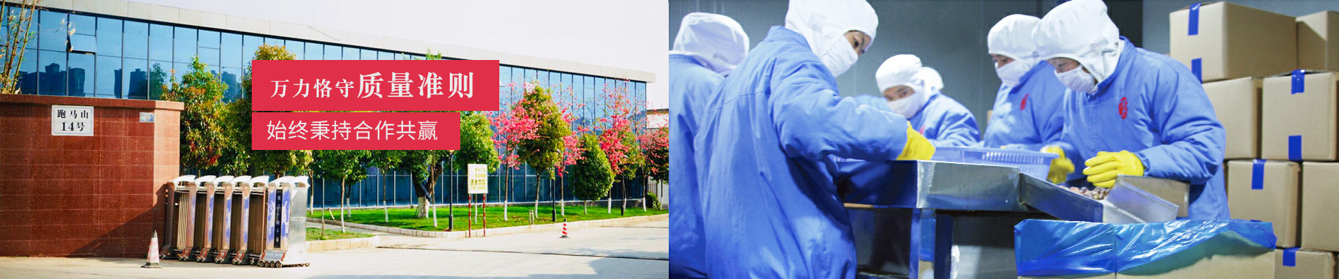 萬力恪守質(zhì)量準則，始終秉持合作共贏