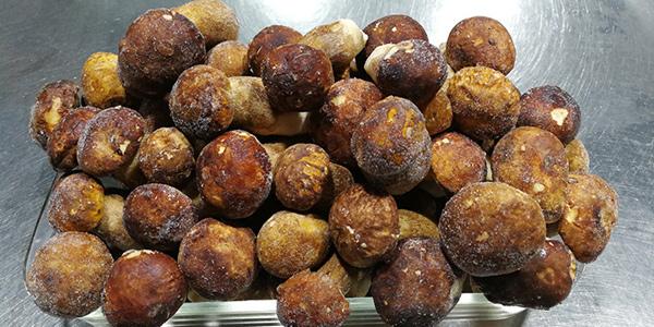 食用菌種類有哪些？