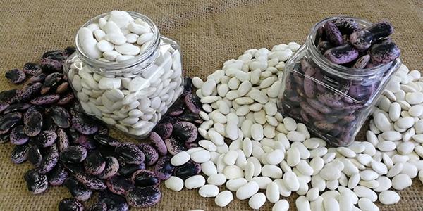 蕓豆批發(fā)價是多少？