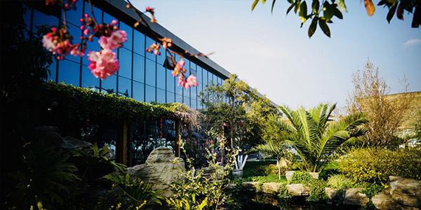 萬力貿(mào)易堅(jiān)持做云南特色米線