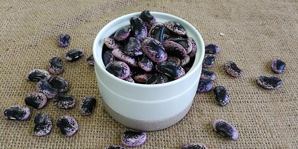 萬力貿(mào)易帶你了解蕓豆?fàn)I養(yǎng)價(jià)值