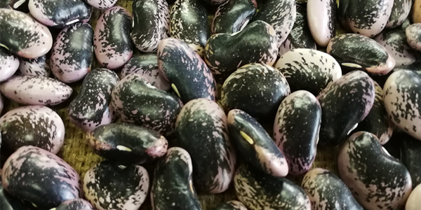 萬(wàn)力貿(mào)易米線